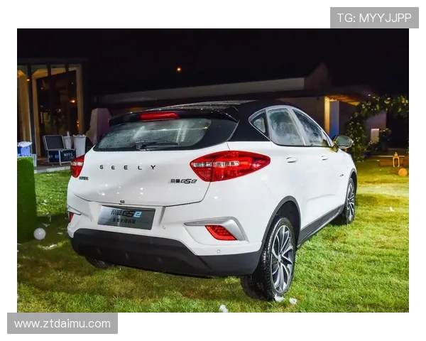 10万价位的新能源紧凑级SUV，吉利GSe