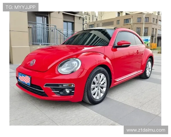 100%大众制造，甲壳虫复活！商务，代步都可以，或10万级