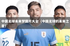 中国足球未来梦图片大全（中国足球的未来之星）