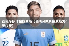 西班牙队球星拉莫斯（西班牙队长拉莫斯为c罗庆祝）