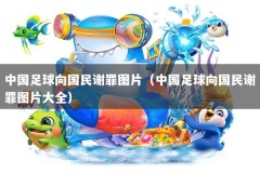 中国足球向国民谢罪图片（中国足球向国民谢罪图片大全）