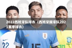 2022西班牙队球衣（西班牙国家队2021赛季球衣）