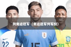 何奥运冠军（奥运冠军何军权）