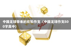 中国足球带来的欢乐作文（中国足球作文800字高中）