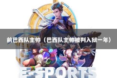 前巴西队主帅（巴西队主帅被判入狱一年）