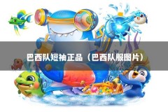 巴西队短袖正品（巴西队服图片）