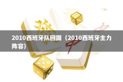 2010西班牙队回国（2010西班牙主力阵容）