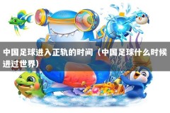 中国足球进入正轨的时间（中国足球什么时候进过世界）