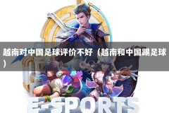 越南对中国足球评价不好（越南和中国踢足球）