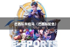 巴西队和彪马（巴西队配色）