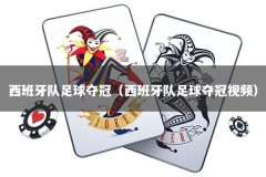 西班牙队足球夺冠（西班牙队足球夺冠视频）