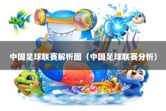 中国足球联赛解析图（中国足球联赛分析）