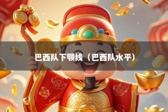 巴西队下颚线（巴西队水平）