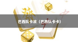 巴西队卡波（巴西队卡卡）