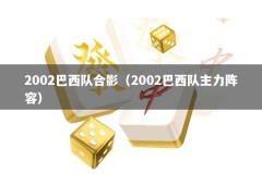 2002巴西队合影（2002巴西队主力阵容）