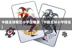 中国足球模范小学在哪里（中国足球小学排名）