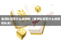 美洲队冠军什么级别的（美洲队冠军什么级别的队员）