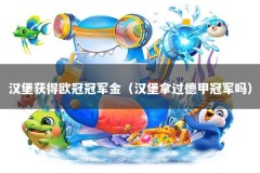 汉堡获得欧冠冠军金（汉堡拿过德甲冠军吗）