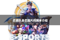 巴西队桑巴图片的简单介绍