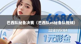 巴西队秘鲁决赛（巴西队vs秘鲁队视频）