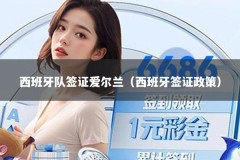 西班牙队签证爱尔兰（西班牙签证政策）