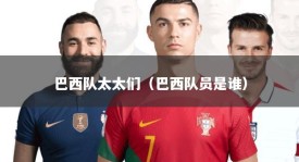 巴西队太太们（巴西队员是谁）