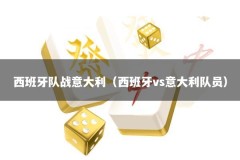 西班牙队战意大利（西班牙vs意大利队员）