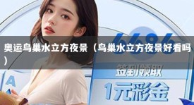 奥运鸟巢水立方夜景（鸟巢水立方夜景好看吗）