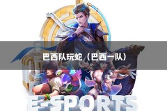 巴西队玩蛇（巴西一队）