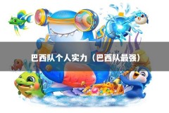 巴西队个人实力（巴西队最强）