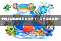 中国足球侮辱事件有哪些（中国足球耻辱事件）