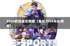 2008欧冠鲁尼数据（鲁尼2004年欧洲杯）