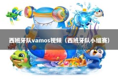 西班牙队vamos视频（西班牙队小组赛）