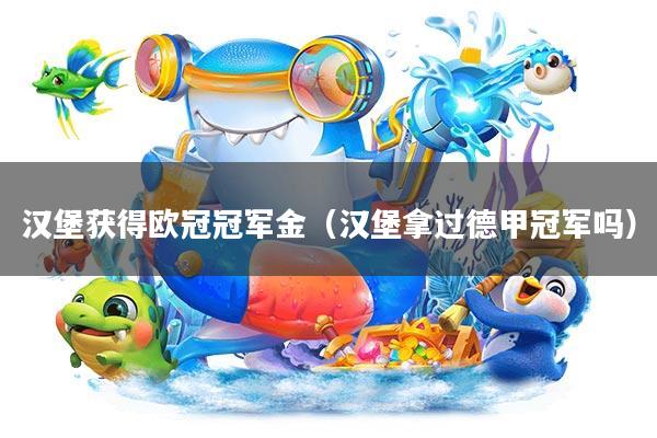 汉堡获得欧冠冠军金(汉堡拿过德甲冠军吗)