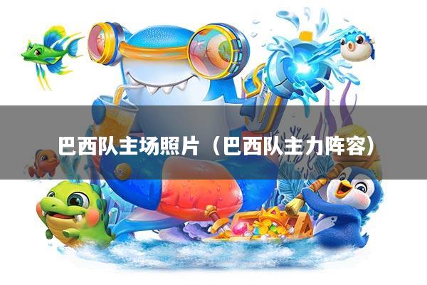 巴西队主场照片(巴西队主力阵容)