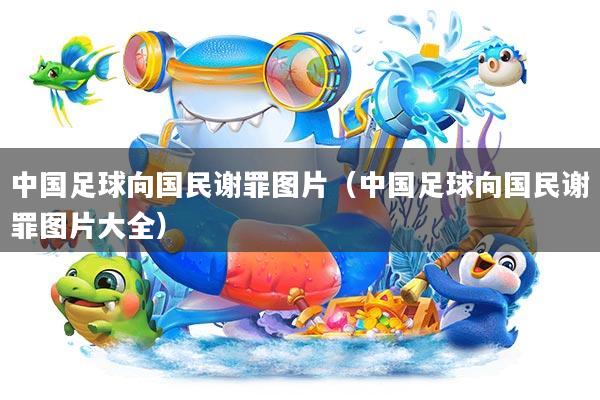 中国足球向国民谢罪图片(中国足球向国民谢罪图片大全)